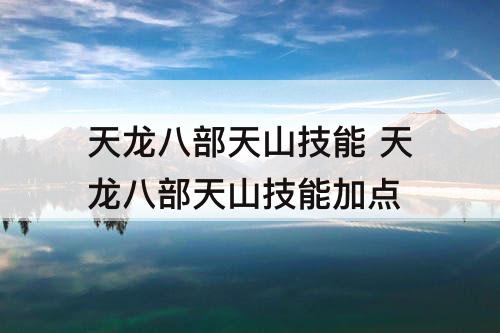 天龙八部天山技能 天龙八部天山技能加点