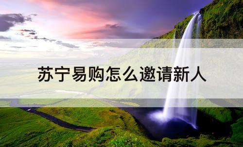 苏宁易购怎么邀请新人