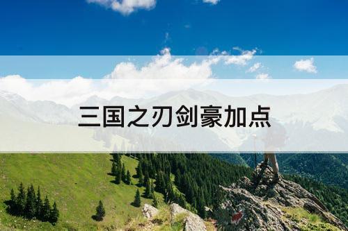 三国之刃剑豪加点
