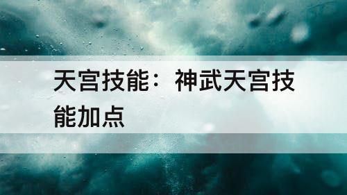 天宫技能：神武天宫技能加点