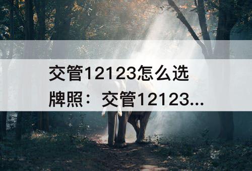 交管12123怎么选牌照：交管12123怎么选牌照没车