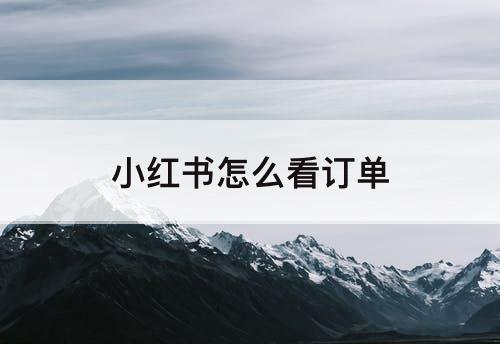 小红书怎么看订单