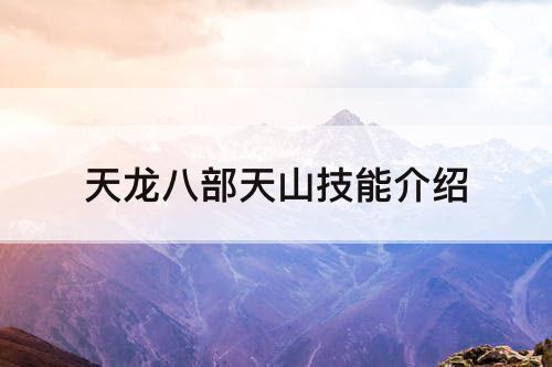 天龙八部天山技能介绍