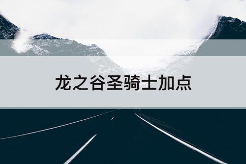 龙之谷圣骑士加点