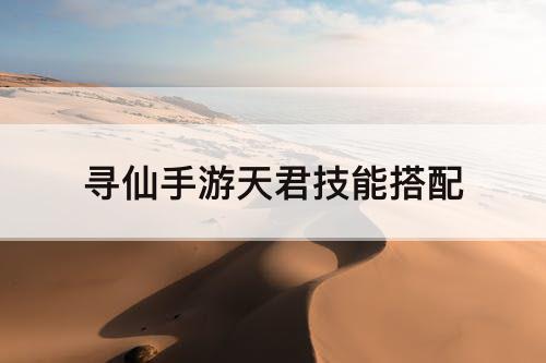 寻仙手游天君技能搭配
