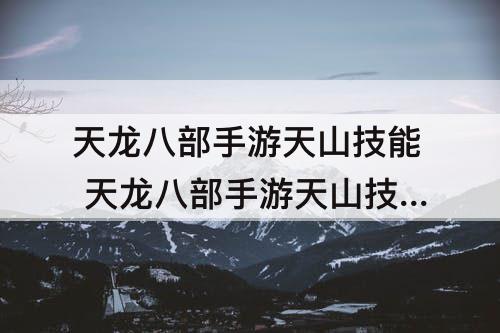 天龙八部手游天山技能 天龙八部手游天山技能摆放