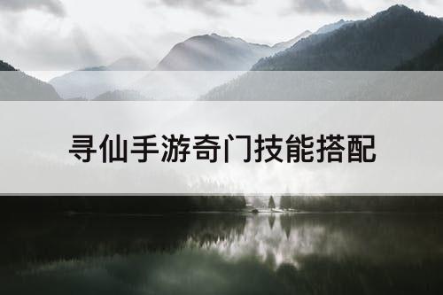 寻仙手游奇门技能搭配