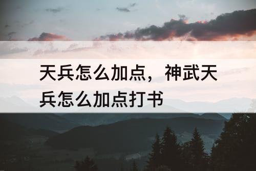 天兵怎么加点，神武天兵怎么加点打书