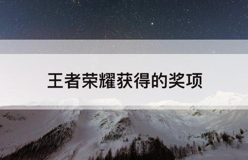 王者荣耀获得的奖项