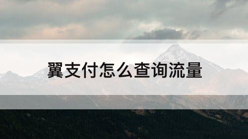 翼支付怎么查询流量