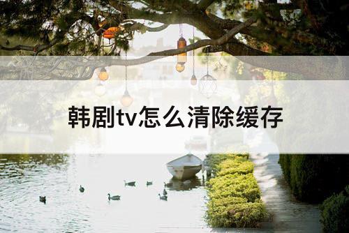 韩剧tv怎么清除缓存