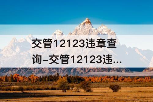交管12123违章查询-交管12123违章查询缴费方式