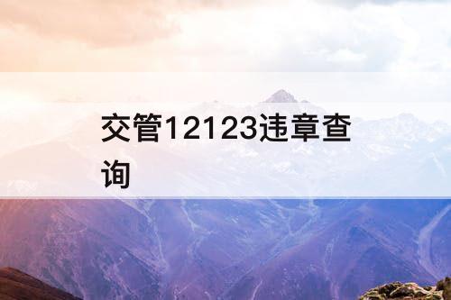 交管12123违章查询
