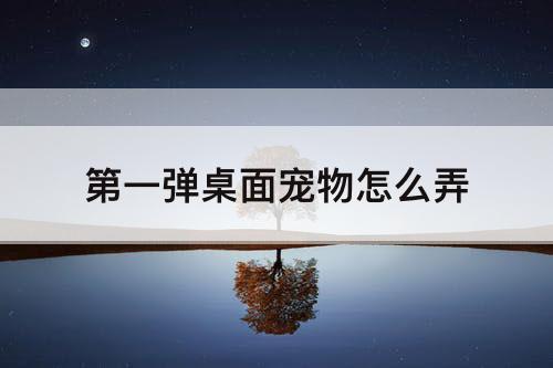 第一弹桌面宠物怎么弄