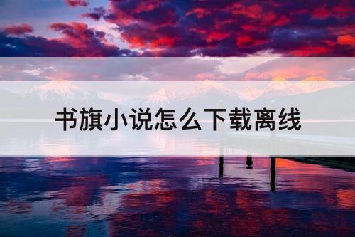 书旗小说怎么下载离线
