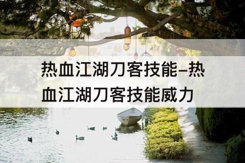 热血江湖刀客技能-热血江湖刀客技能威力