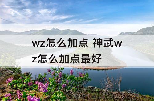 wz怎么加点 神武wz怎么加点最好