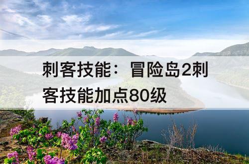 刺客技能：冒险岛2刺客技能加点80级