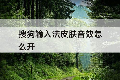 搜狗输入法皮肤音效怎么开