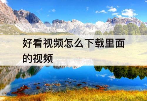 好看视频怎么下载里面的视频