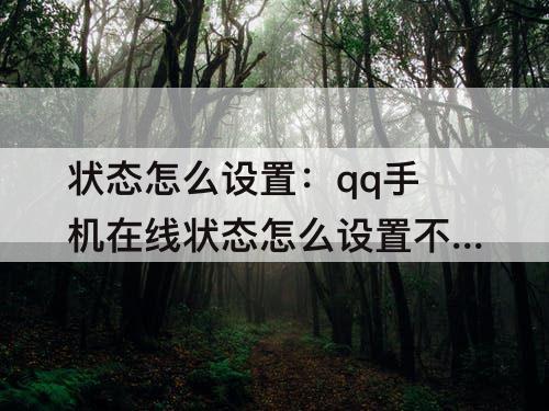 状态怎么设置：qq手机在线状态怎么设置不显示