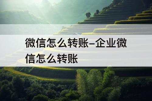 微信怎么转账-企业微信怎么转账