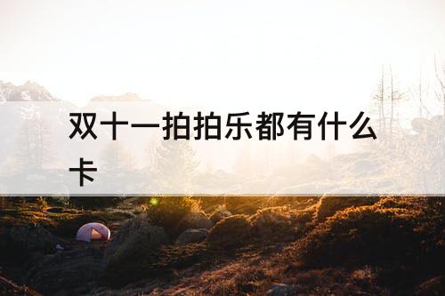 双十一拍拍乐都有什么卡