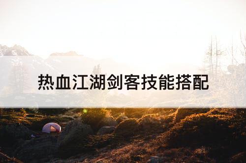 热血江湖剑客技能搭配
