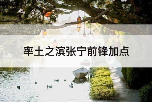 率土之滨张宁前锋加点