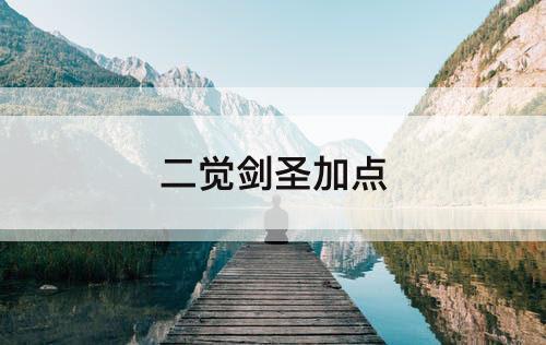 二觉剑圣加点