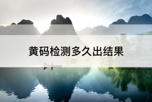 黄码检测多久出结果