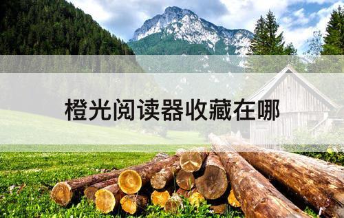 橙光阅读器收藏在哪