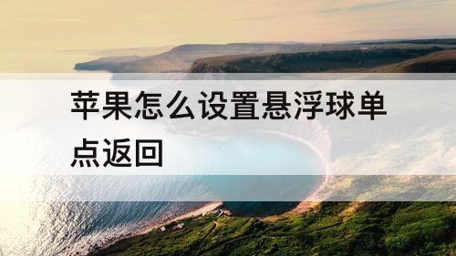 苹果怎么设置悬浮球单点返回
