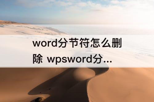 word分节符怎么删除 wpsword分节符怎么删除不了