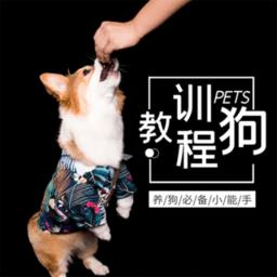 训狗教程视频大全