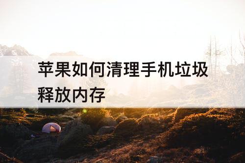 苹果如何清理手机垃圾释放内存