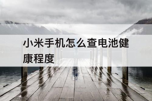 小米手机怎么查电池健康程度