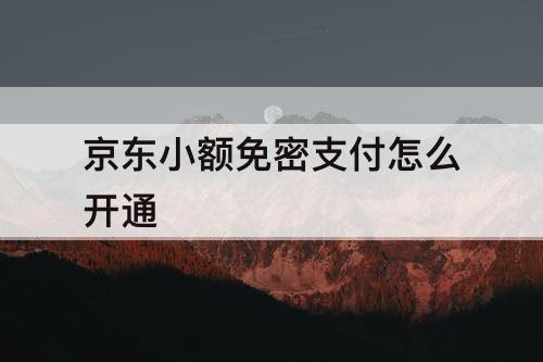 京东小额免密支付怎么开通