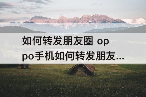 如何转发朋友圈 oppo手机如何转发朋友圈