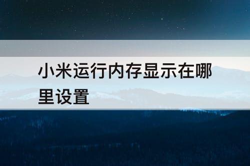 小米运行内存显示在哪里设置