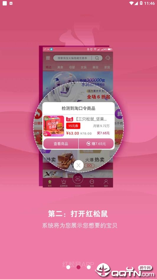 红松鼠