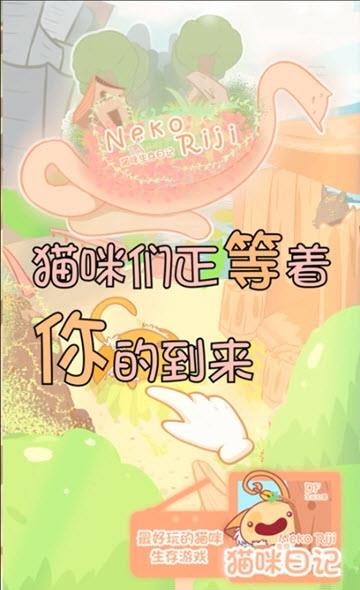 猫咪生存日记