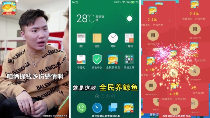 全民养鲸鱼4