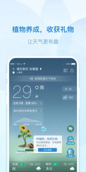 实况天气预报