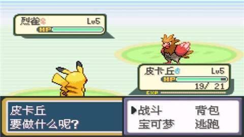 口袋妖怪圣灰汉化最终版  v1.0图1
