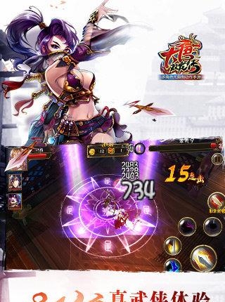 大唐双龙传