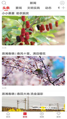 魅力蒸湘  v1.0.0图2