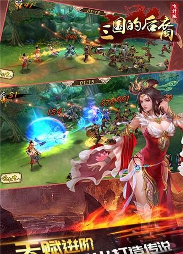 三国的后裔飞升版