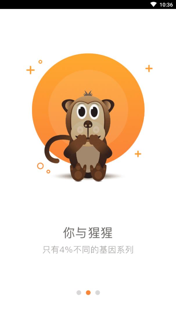 掌上云杉