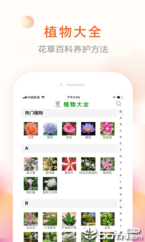 花草君  v1.3.3图2